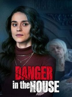 Danger in the House FRENCH WEBRIP 720p 2022