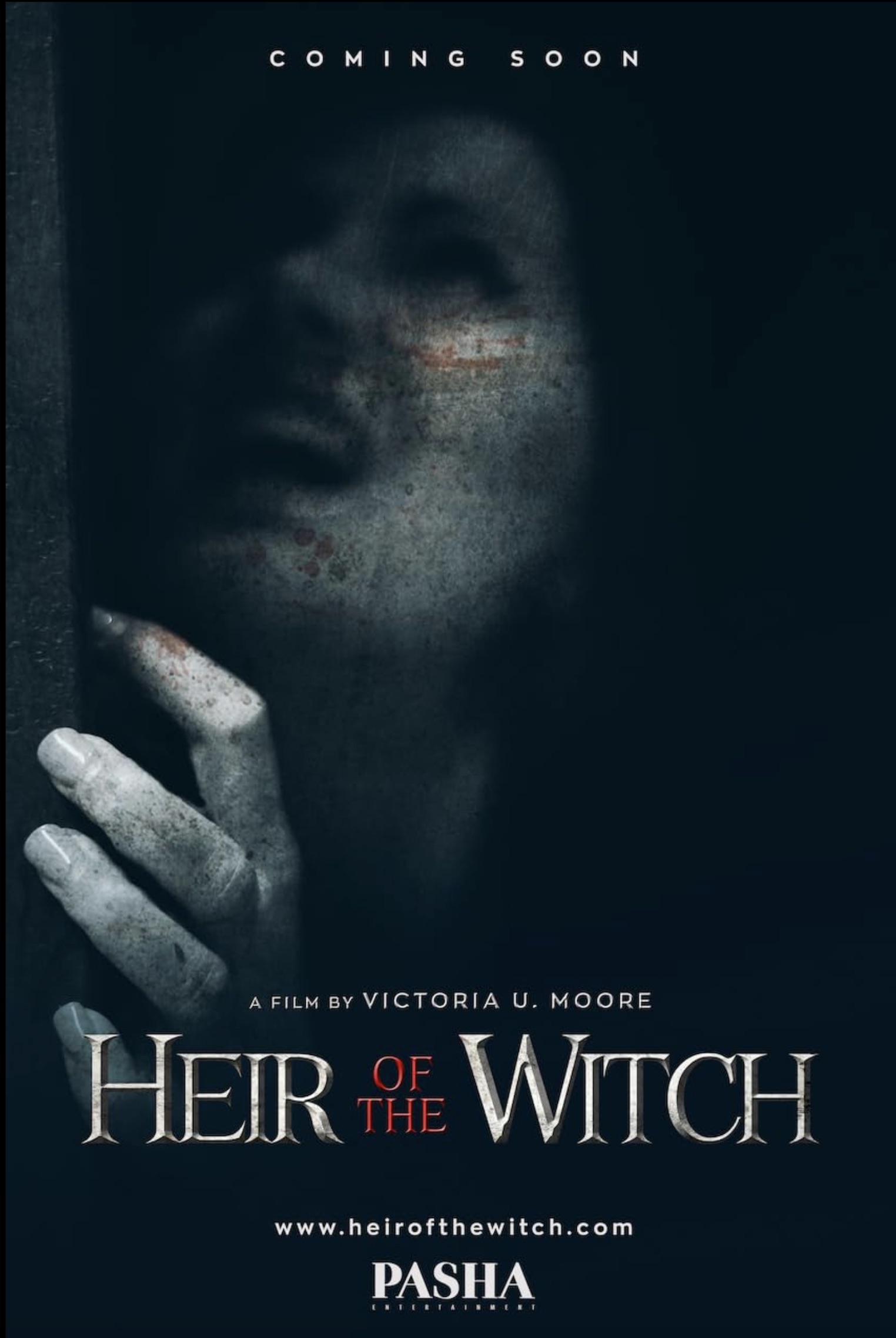 Heir of the Witch FRENCH WEBRIP LD 2023