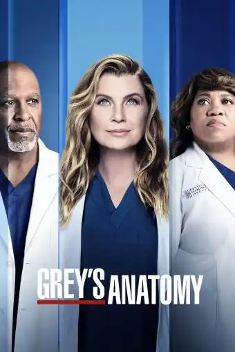 Grey's Anatomy S18E17 FRENCH HDTV